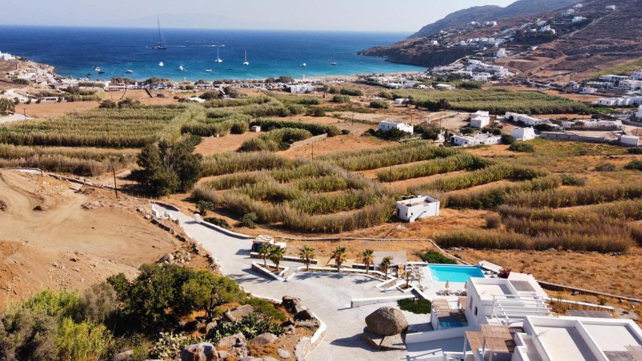 Mykonos4Islands Seaside Homes And Suites Kalo Livadi Buitenkant foto